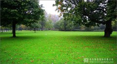 我國(guó)園林綠化苗木產(chǎn)業(yè)三大趨勢(shì)與八大特色