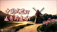 中國(guó)式監(jiān)理，還有前途嗎？